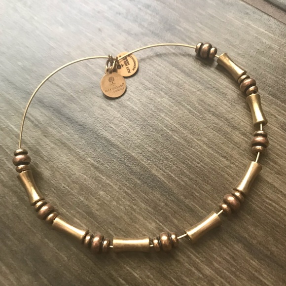 Alex and Ani Jewelry - Alex and Ani Adjustable Energy Gold Bracelet
